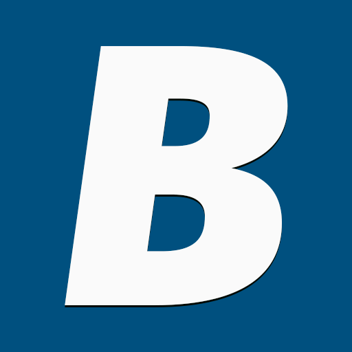 bisnes.fi-logo